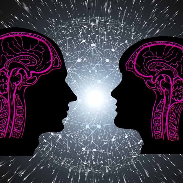 cerebros de hombre y mujer